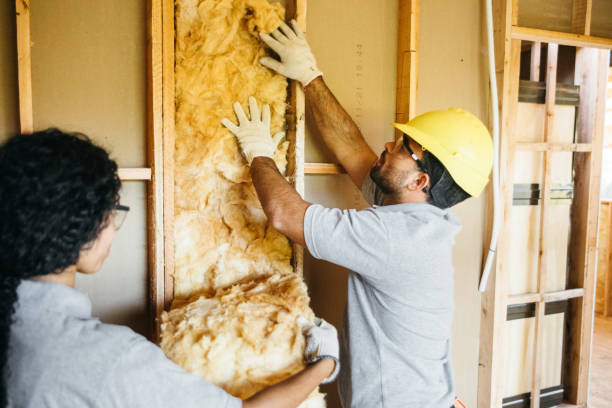 Best Home Insulation Services  in Triana, AL